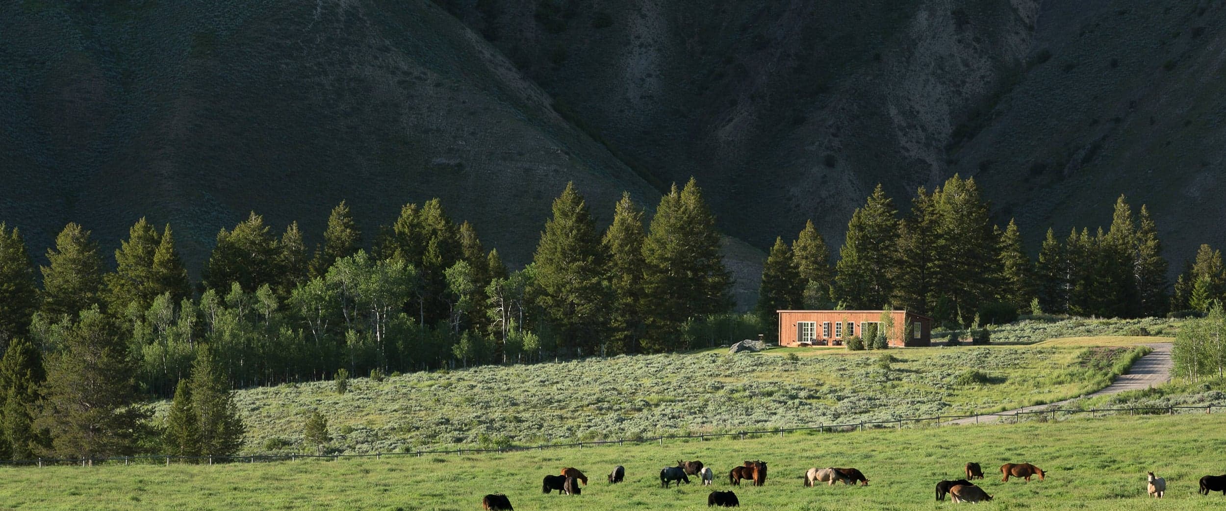 The Ranch Shooting Cabin