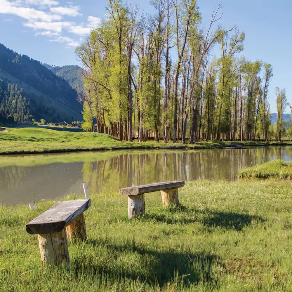 Beaver Pond with 2 benches a long the edge