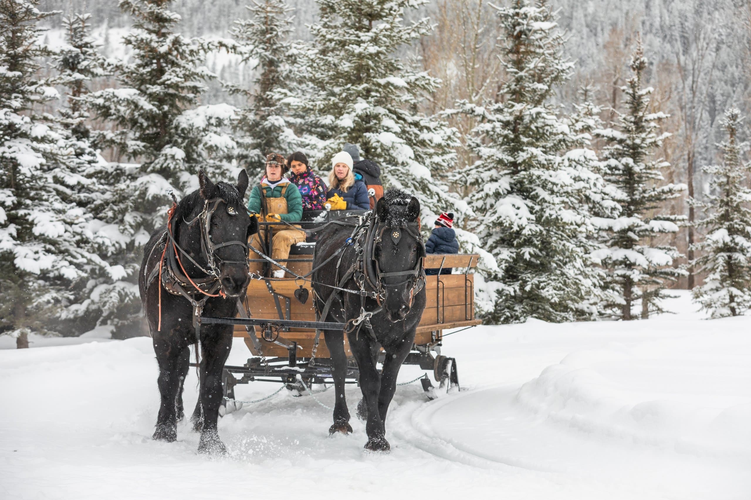Horse-drawn sleigh rides in Winter at Snake River Sporting Club