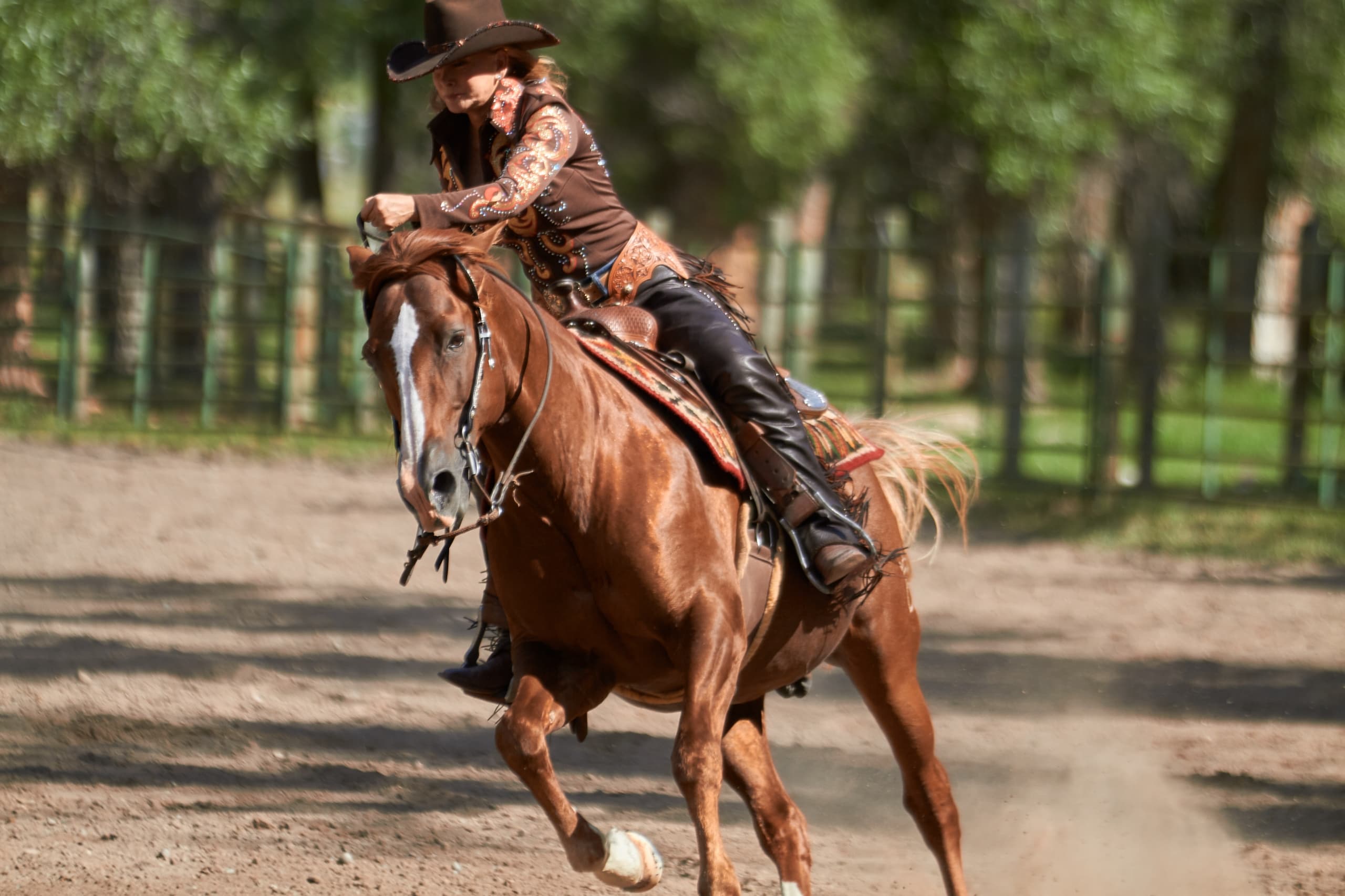 Horseback Riding at the Equestrian Center at Snake River Sporting Club
