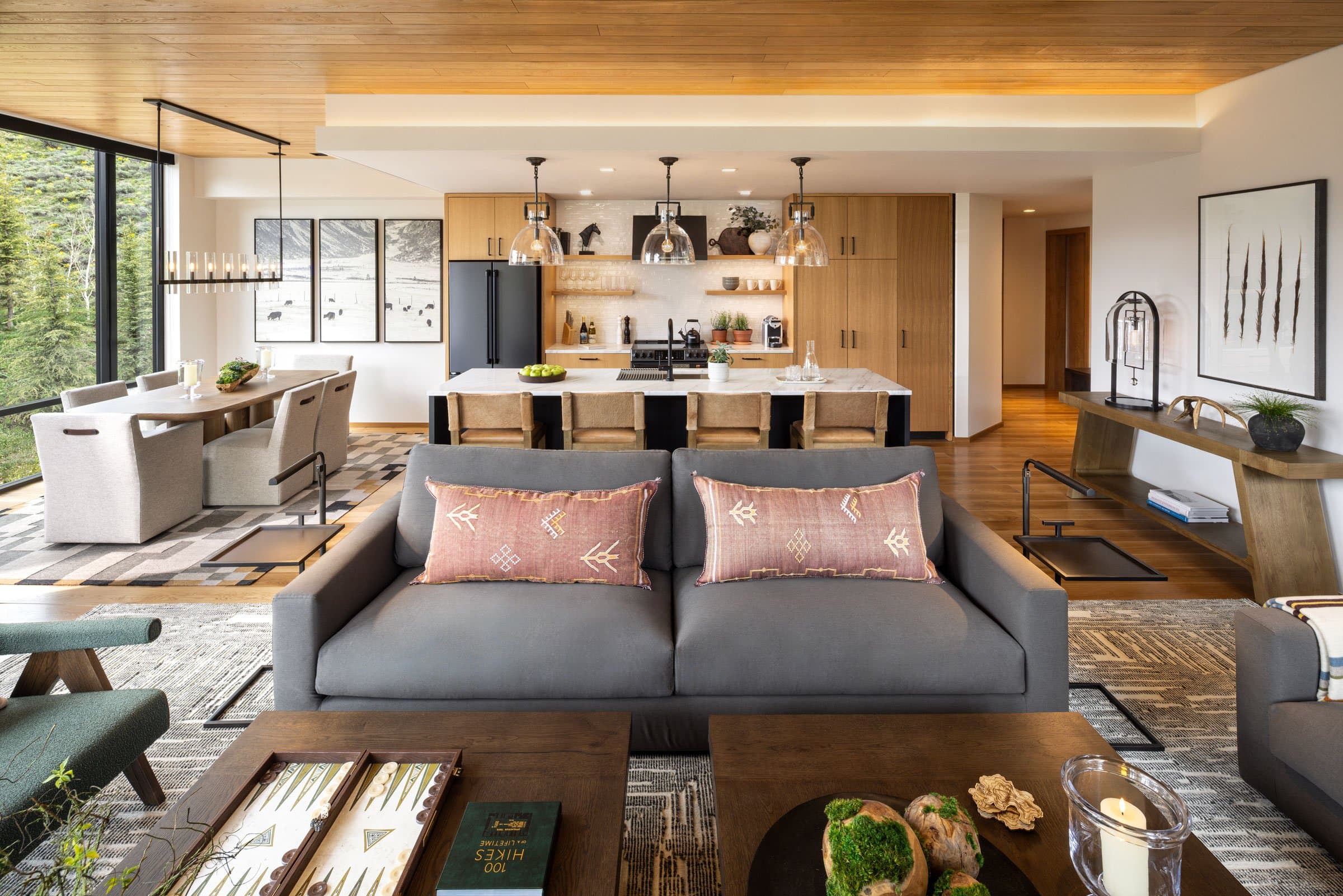 Canopy Living Room And Kitchen