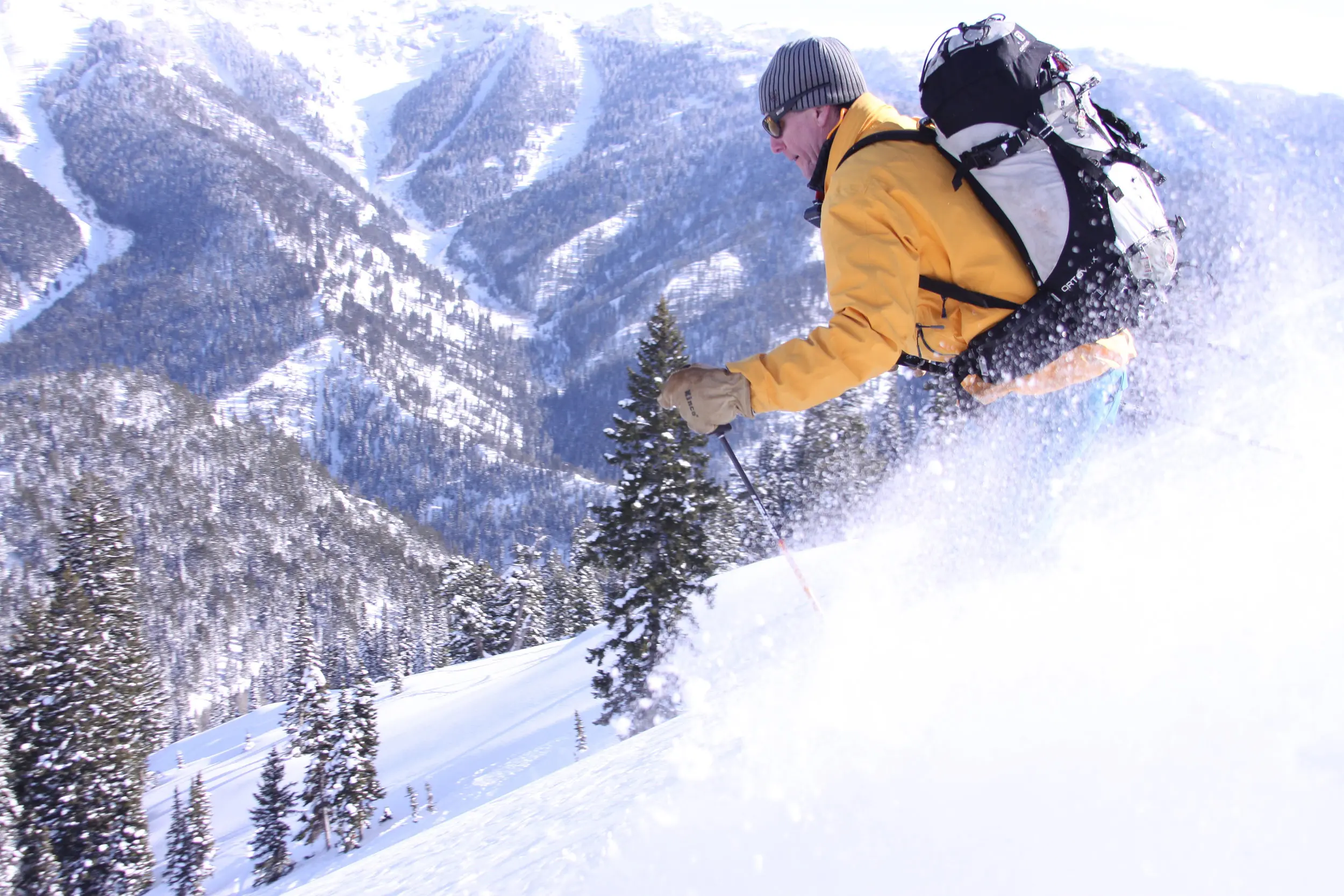 Skier In Jackson Hole