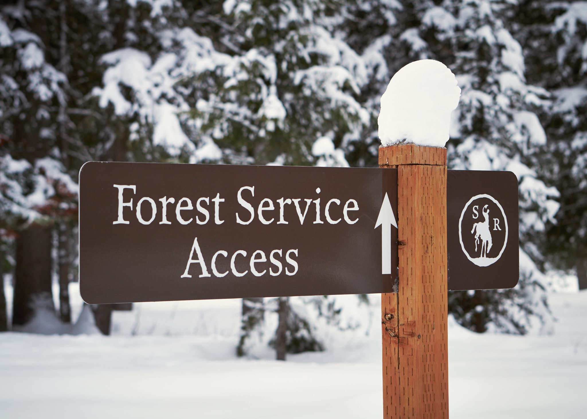 forest service access sign in winter