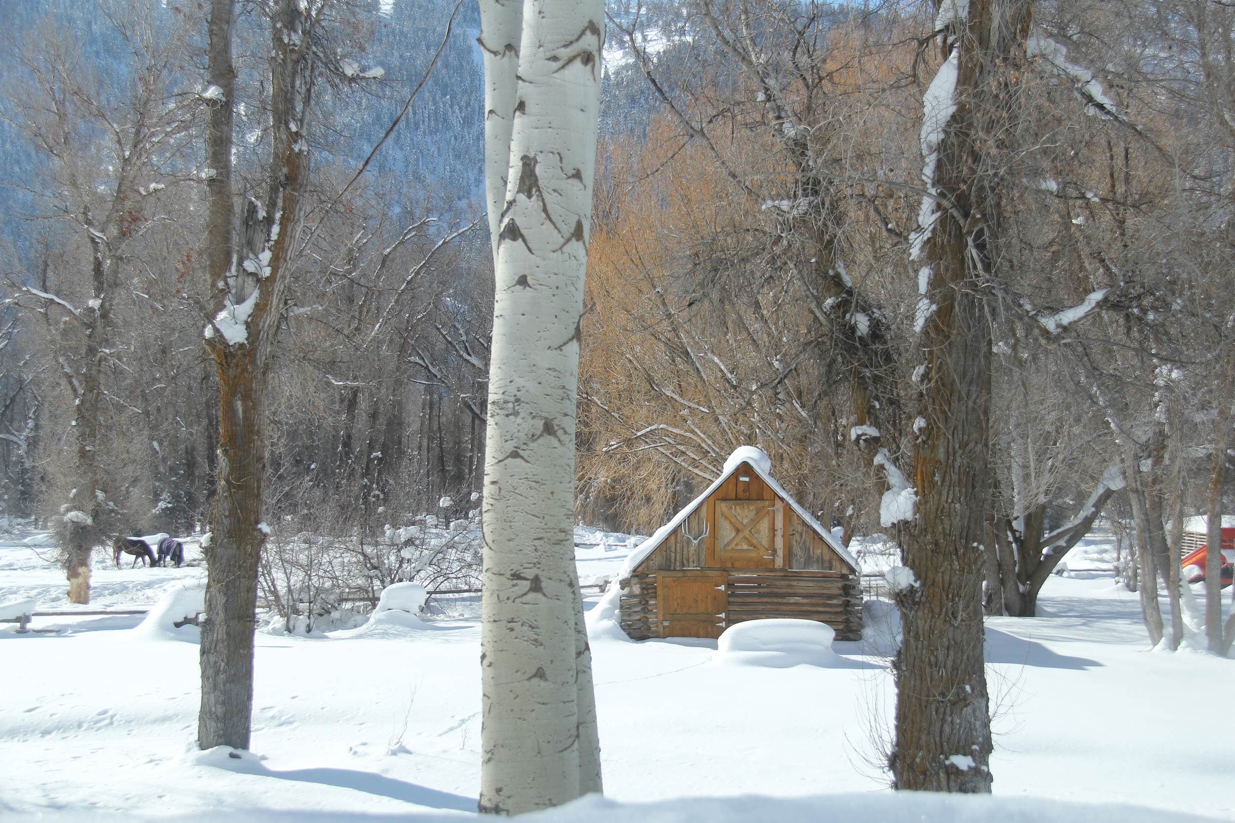 Small Cabin In The Woods In The Snow