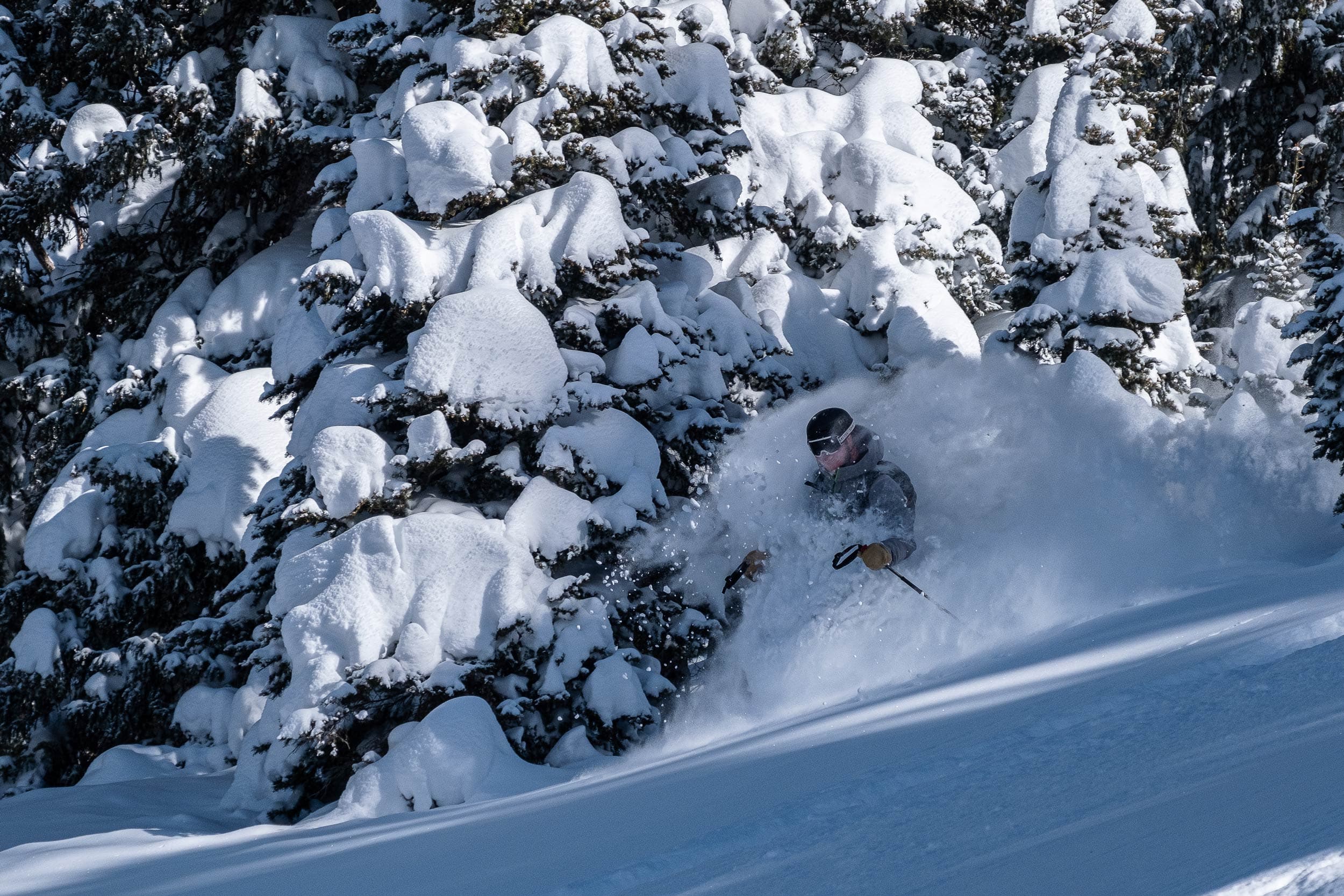 Skier In Deep Powder