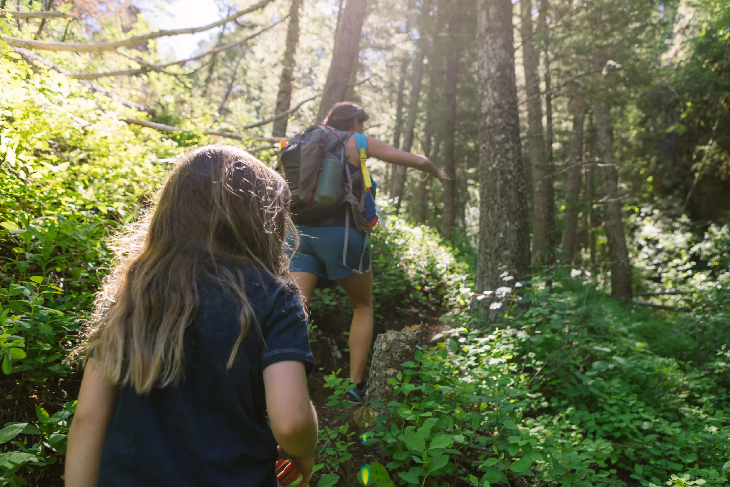 Hiking In Jackson Hole