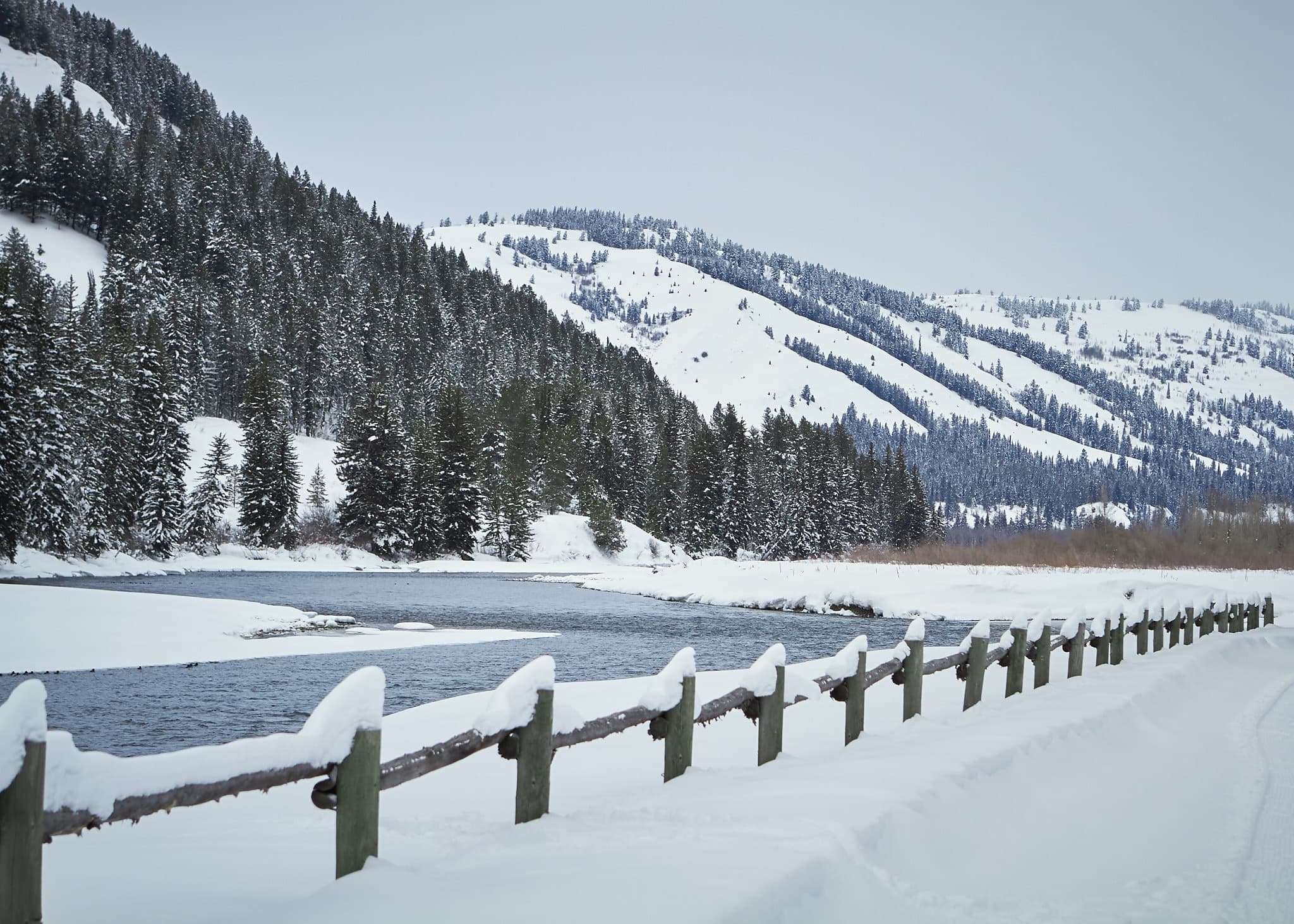 Winter view of the Snake River, evergreens, and snowy ridgeline at Snake River Sporting Club, Jackson Hole